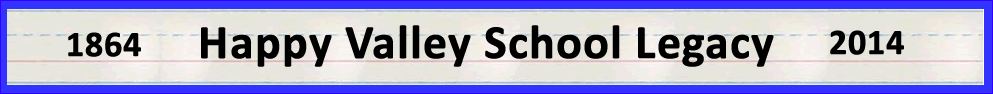 HVS Logo
